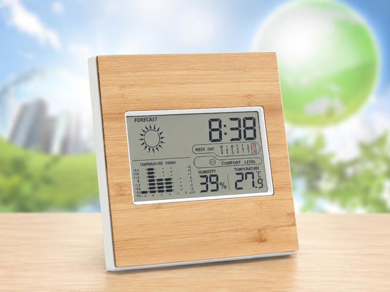 Multifunctionele Thermometer