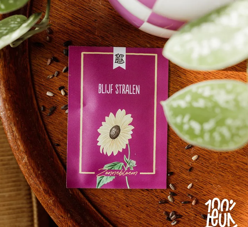 Bloemenzaadjes – Blijf stralen – Zonnebloem