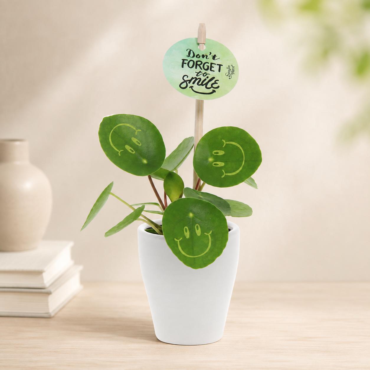 Smiley plant small keramieke pot